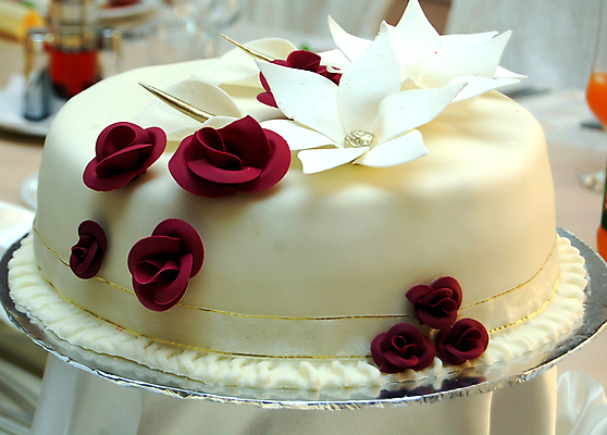 포토 JPG 해외이미지 드레스 꽃잎 꽃 행복 분홍색 결혼 2 관계 신혼부부 결혼식 남편 기념 사랑 사람 사람없음 빛 장미 파티 케이크 꿈 흰색 춤 반지 잡기 아내 체리 날짜 순수 기회 약속 부드러움 약혼 페스츄리 해외202004 해외포토 식물 부부 옷 감정 빵 컬러 컨셉 과일 장신구 모션 문화예술 디저트 이벤트 감각 신혼 파일형식 이미지허브