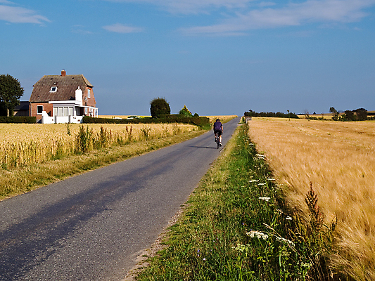 포토 JPG 해외이미지 라이프스타일 공원 도로 여행 포즈 밭 가족 자국 자연 휴가 휴식 함께함 건강 사람 풍경 사람없음 야외 여름 운동 건강관리 자전거 힘 에너지 탐험 도전 시골 승차 속도 순환 근육질 장면 사이클링 추적 바이킹 해외202004 해외포토 계절 공공시설 길 컨셉 농업 관계 교통시설 모션 근육 관리 생활 바이크 육상스포츠 몸매 생태계 파일형식 이미지허브