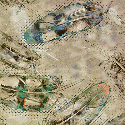 포토 JPG 해외이미지 디자인 백그라운드 일러스트 자연 벽지 조류 추상 천사 프레임 종류 선물 미술 사람없음 그래픽 장식 초록색 유행 수확 인사 신용카드 보석 순수 깃털 질감 부드러움 내추럴 단아함 파스텔톤 프리미엄 스타일 해외202004 해외포토 동물 컬러 컨셉 무늬 농업 문화예술 금융 예절 감각 광석 생태계 파일형식 이미지허브