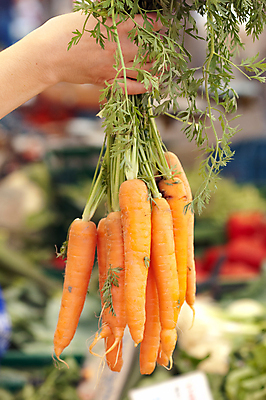 포토 JPG 해외이미지 식물 계절 음식 백그라운드 잎 농업 다이어트 채소 오렌지 재료 부분 건강 사람없음 초록색 당근 신선 시장 닫기 선택 다발 먹기 오브젝트 상쾌 유기농 원예 날것 섬유 내추럴 돌봄 숙성 식용 채식주의자 해외202004 해외포토 웰빙 감정 산업 컬러 컨셉 과일 모션 뿌리채소 취미 직물 채식 파일형식 이미지허브