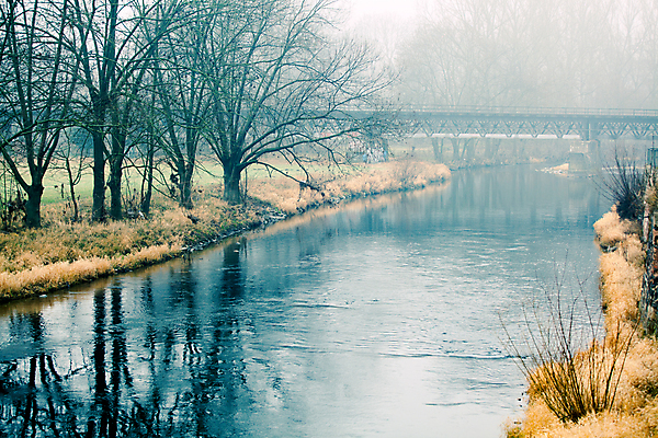 포토 JPG 해외이미지 주간 나무 겨울 독일 사람없음 야외 강 안개 스칸디나비아 겨울풍경 해외202004 해외포토 자연요소 식물 계절 유럽 날씨 풍경 파일형식 이미지허브