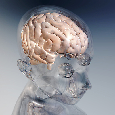 포토 JPG 해외이미지 여자 얼굴 생각 신체 일러스트 해부 유리 생물 건강 사람 사람없음 그래픽 약 3D 디지털 투명 오르간 신비 자르기 묘사 뇌 만들기 고립 배려 지능 해골모형 해외202004 해외포토 컨셉 의학 모션 재질 신체부위 모형 건반악기 디지털합성 파일형식 이미지허브
