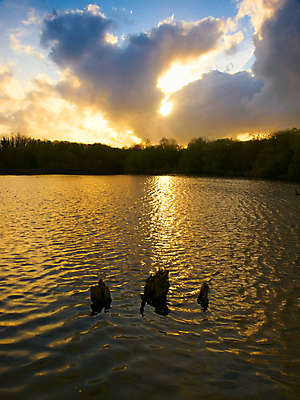 포토 JPG 해외이미지 구름 호수 잎 풍경 사람없음 물 강 일몰 코르크 아일랜드 해외202004 해외포토 자연요소 식물 유럽 노을 파일형식 이미지허브
