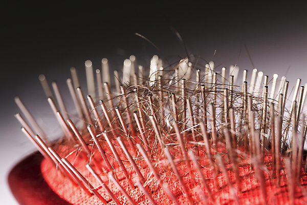 포토 JPG 해외이미지 검은배경 근접촬영 사람없음 뷰티 머리카락 머리빗 엉킴 두피관리 두피케어 탈모 탈모클리닉 해외202004 탈모예방 해외포토 뷰포인트 백그라운드 머리 검은색 미용용품 예방 클리닉 헤어관리 증상 파일형식 이미지허브