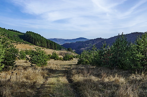 포토 JPG 해외이미지 나무 식물 계절 유럽 낙엽 잎 자연 하늘 산 파노라마 풍경 사람없음 목재 초록색 환경 활발 가을 소나무 숲 침엽수 불가리아 섞기 해외202004 해외포토 나라 컬러 컨셉 재료 촬영기법 생태계 파일형식 남유럽 이미지허브