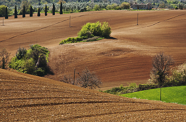 포토 JPG 해외이미지 나무 유럽 여행 밭 자연 포도 주택 풍경 사람없음 야외 초록색 농장 농경지 와인 이탈리아 시골 빌라 언덕 시력 포도밭 포도나무 밭일 양조장 토스카나 해외202004 해외포토 식물 나라 컬러 농업 과일 주류 건물 과일나무 생태계 파일형식 이미지허브