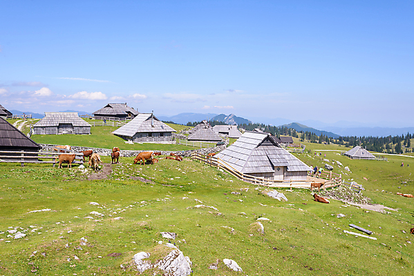 포토 JPG 해외이미지 전통 유럽 길 여행 백그라운드 자연 하늘 휴가 산 주택 파노라마 풍경 사람없음 야외 건물 목재 초록색 여름 태양 마을 트래킹 하이킹 시골 소 오두막 언덕 에코 시골집 알프스 내추럴 슬로베니아 전국 해외202004 해외포토 자연요소 나무 건축물 계절 나라 컬러 재료 포유류 레저 촬영기법 환경 생태계 파일형식 이미지허브