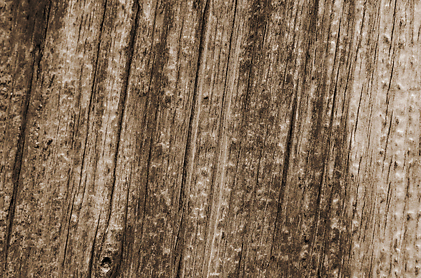 포토 JPG 해외이미지 나무 디자인 선 벽 백그라운드 패턴 자연 탁자 표면 날씨 추상 바닥 사람없음 목재 세로 갈색 우주 어둠 공백 회색 수확 시골 판넬 거친 널 낟알 질감 복고 내추럴 그런지 옛날 해외202004 해외포토 식물 컬러 가구 무늬 농업 재료 생태계 파일형식 이미지허브