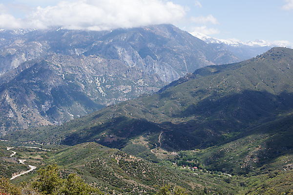 포토 JPG 해외이미지 나무 식물 공원 여행 잎 자국 자연 휴가 산 풍경 사람없음 초록색 미국 하이킹 소나무 황무지 숲 큼 캘리포니아 거인 천연기념물 전국 해외202004 해외포토 공공시설 컬러 북아메리카 레저 크기 생태계 파일형식 이미지허브
