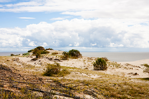 포토 JPG 해외이미지 식물 구름 꽃 모래 바다 자연 바람 풍경 사람없음 야외 가로 초록색 물 파란색 노란색 흰색 만 모래언덕 해외202004 해외포토 자연요소 컬러 날씨 언덕 생태계 파일형식 이미지허브