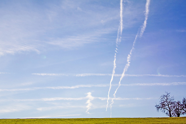 포토 JPG 해외이미지 나무 겨울 자연 하늘 풍경 사람없음 파란색 복도 교차로 대머리 천국 배기가스 벌거벗은 많음 해외202004 해외포토 식물 헤어스타일 계절 길 컬러 컨셉 생태계 파일형식 이미지허브