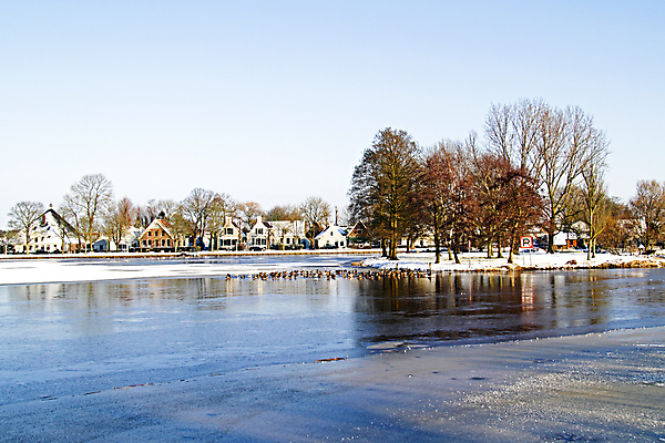 포토 JPG 해외이미지 동물 호수 겨울 건축양식 자연 조류 주택 사람없음 야외 건물 물 마을 얼음 네덜란드 눈내림 해외202004 해외포토 자연요소 건축물 계절 건축 유럽 눈_날씨 생태계 파일형식 이미지허브