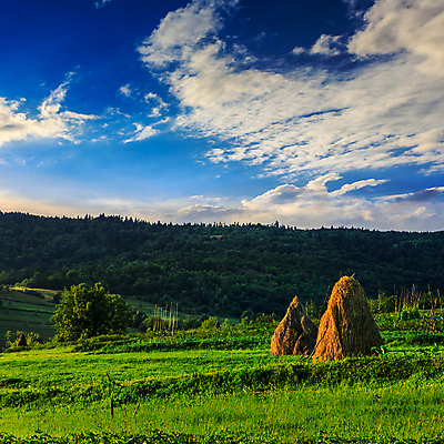포토 JPG 해외이미지 나무 구름 계절 밭 자연 하늘 아침 날씨 산 풍경 사람없음 야외 초록색 여름 빛 쌓기 마을 일출 환경 맑음 안개 가을 시골 신선 건초더미 볏짚 숲 언덕 내추럴 해외202004 해외포토 주간 자연요소 식물 컬러 농업 모션 노을 건초 짚 생태계 파일형식 더미 이미지허브