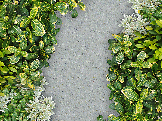 포토 JPG 해외이미지 나무 식물 디자인 공원 도로 길 백그라운드 곡선 자연 거리 풍경 사람없음 야외 초록색 평화 정원 침묵 산책 바위 시골 신선 오솔길 질감 조경 내추럴 뒤뜰 루트 무료 양발 해외202004 해외포토 공공시설 선 컬러 컨셉 교통시설 휴식 소리 돌_바위 생태계 파일형식 이미지허브