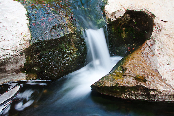 포토 JPG 해외이미지 유럽 잎 자연 사람없음 초록색 동굴 내추럴 해외202004 해외포토 식물 나라 컬러 생태계 파일형식 이미지허브