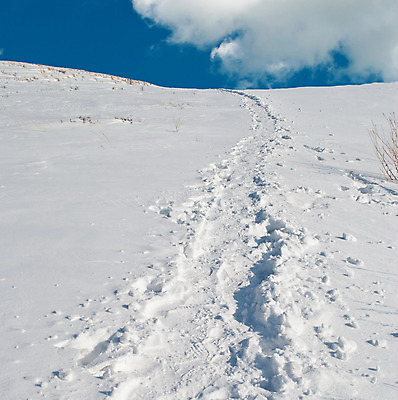 포토 JPG 해외이미지 주간 겨울 자연 하늘 사람없음 야외 설원 겨울풍경 해외202004 눈덮임 해외포토 자연요소 계절 컨셉 눈_날씨 풍경 생태계 파일형식 이미지허브