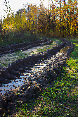 포토 JPG 해외이미지 계절 도로 여행 백그라운드 교통시설 자국 자연 풍경 사람없음 야외 목재 초록색 물 흙 젖음 시골 바퀴 숲 땅 버리기 바퀴자국 생태계 타이어 트랙 먼지 점토 진흙 내추럴 종료 나쁜 땅바닥 루트 선로 어려움 오프로드 해외202004 해외포토 자연요소 나무 길 컬러 교통 재료 모션 바닥 시설 파일형식 이미지허브