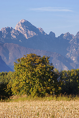 포토 JPG 해외이미지 나무 하늘 산 파노라마 풍경 사람없음 야외 파란색 계곡 일몰 이탈리아 가을 바위 정상 숲 땅 고도 알프스 10월 절정 해외202004 해외포토 식물 계절 유럽 컬러 촬영기법 노을 돌_바위 날짜 파일형식 이미지허브