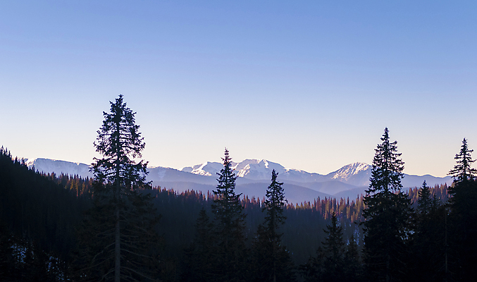 포토 JPG 해외이미지 나무 여행 겨울 자연 하늘 아침 휴가 휴식 산 파노라마 풍경 경사 사람없음 야외 빛 평화 추위 소나무 못 황무지 정상 매끈함 숲 그늘 돌산 언덕 산등성이 멀리 스카이라인 산악지대 삼림지대 우크라이나 절정 가문비나무 해외202004 해외포토 주간 식물 계절 유럽 컨셉 촬영기법 공구 감각 생태계 파일형식 이미지허브