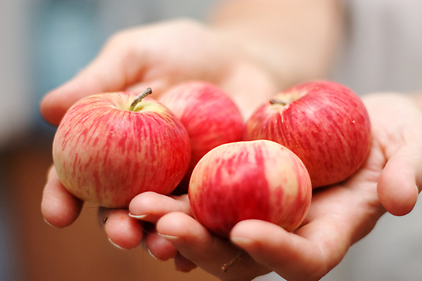 포토 JPG 해외이미지 손 음식 과일 관리 사람 사람없음 빨간색 주방 껍질 신선 4 선택 사과 준비 해외202004 해외포토 컬러 컨셉 신체부위 숫자 파일형식 이미지허브