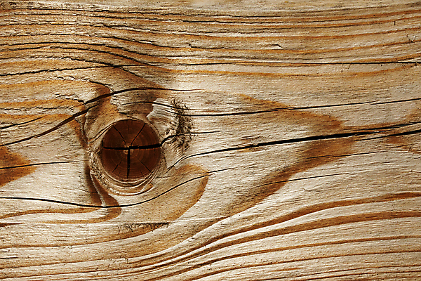 포토 JPG 해외이미지 나무 전통 산업 선 백그라운드 곡선 추상 새로움 사람없음 목재 갈색 노란색 공백 시골 신선 반지 소나무 바 플랫 널 자르기 질감 매듭 마디 대패 수목 해외202004 해외포토 식물 컬러 컨셉 무늬 재료 장신구 모션 파일형식 이미지허브