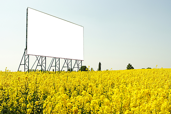 포토 JPG 해외이미지 식물 배너 계절 꽃 포스터 백그라운드 밭 농업 자연 광고판 풍경 잔디 사람없음 초록색 여름 태양 농장 노란색 환경 봄 공백 수확 성장 흰색 시골 신선 업무 메시지 시장 황금 땅 사인 지역 계산서 마케팅 평야 수평선 해외202004 해외포토 자연요소 산업 컬러 알림판 작업 생태계 판 파일형식 이미지허브