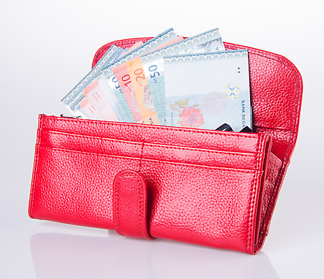 포토 JPG 해외이미지 백그라운드 컨셉 지폐 돈 가방 비즈니스 성공 사람없음 빨간색 초록색 금융 쇼핑 유행 달러 저축 흰색 오픈 화려 지갑 재산 고급 가죽 투자 결제 고립 해외202004 해외포토 잡화 컬러 경제 파일형식 이미지허브