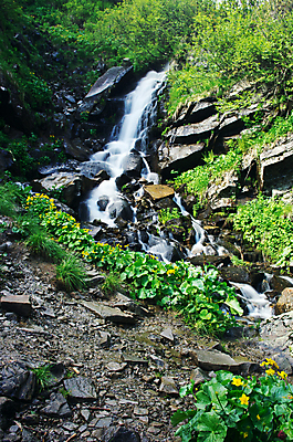 포토 JPG 해외이미지 공원 도로 호수 섬 여행 백그라운드 자연 산 수영장 풍경 사람없음 야외 초록색 물 여름 파란색 강 계곡 개울 숲 열대우림 알프스 장면 통과 남쪽 석호 내추럴 서쪽 전국 터키석 해외202004 해외포토 자연요소 계절 공공시설 유럽 길 컬러 교통시설 보석 방향 생태계 파일형식 이미지허브