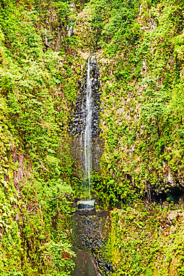 포토 JPG 해외이미지 유럽 길 섬 여행 자국 자연 휴가 산 풍경 사람없음 야외 초록색 물 환경 와인 산책 트래킹 폭포 하이킹 젖음 촉촉함 신선 개울 황무지 숲 오솔길 열대우림 포르투갈 운하 추적 양치류 해외202004 해외포토 자연요소 나라 컬러 모션 레저 휴식 주류 강 생태계 파일형식 이미지허브