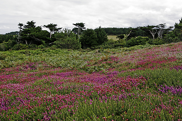 포토 JPG 해외이미지 풍경 사람없음 빨간색 프랑스 해외202004 해외포토 유럽 컬러 파일형식 이미지허브