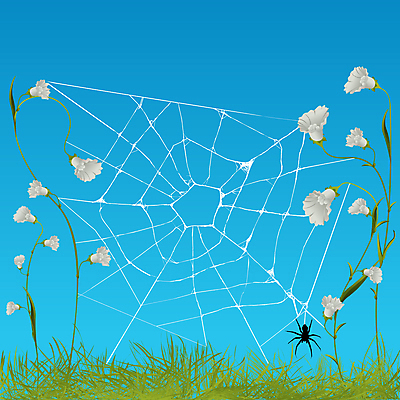 포토 JPG 해외이미지 식물 전통 디자인 계절 꽃잎 꽃 실루엣 줄기 곤충 백그라운드 잎 꽃무늬 패턴 일러스트 자연 미술 사람없음 그래픽 장식 검은색 웹 봄 벚꽃 화려 우아함 스케치 오브젝트 윤곽 거미 해외202004 해외포토 동물 컬러 컨셉 무늬 인터넷 문화예술 촬영기법 생태계 파일형식 이미지허브