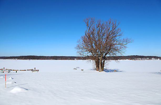포토 JPG 해외이미지 주간 나무 겨울 자연 하늘 사람없음 야외 설원 겨울풍경 해외202004 해외포토 자연요소 식물 계절 눈_날씨 풍경 생태계 파일형식 이미지허브