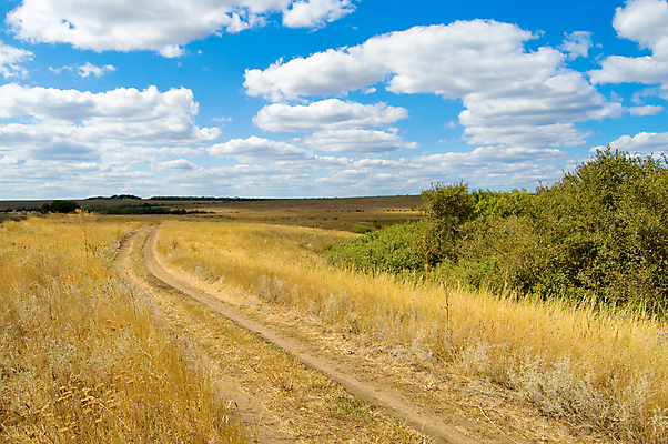 포토 JPG 해외이미지 나무 구름 도로 지구 하늘 거리 사람없음 초록색 노란색 잡초 재산 가난 트랙 지역 방법 스텝 수평선 해외202004 해외포토 자연요소 식물 길 컬러 컨셉 교통시설 금융 파일형식 이미지허브