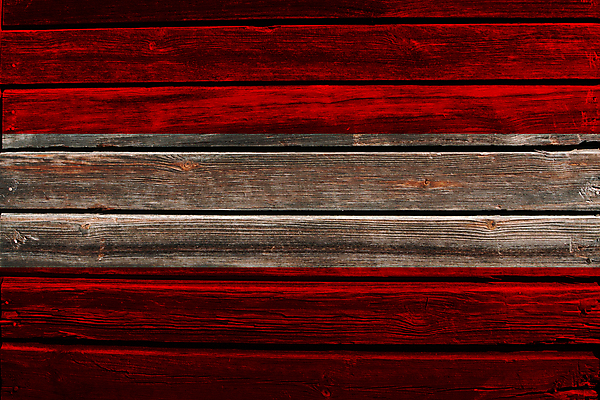 포토 JPG 해외이미지 디자인 유럽 벽 백그라운드 패턴 자연 벽지 표면 추상 사람없음 목재 빛 갈색 어둠 공백 수확 골동품 깃발 거친 비엔나 오스트리아 널 질감 내추럴 그런지 엘리먼트 옛날 해외202004 해외포토 나무 나라 컬러 무늬 농업 재료 생태계 파일형식 이미지허브