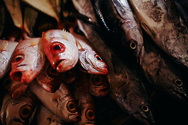 포토 JPG 해외이미지 전통 아시아 문화 음식 바다 조각 비즈니스 자연 거리 건강 어류 요리 동양인 사람없음 세일 얼음 여러개 젖음 신선 도시 시장 자르기 참치 해산물 날것 베트남 지역 소매 이국적 해외202004 해외포토 자연요소 나라 다수 모션 인종 동남아시아 수중동물 생태계 파일형식 이미지허브