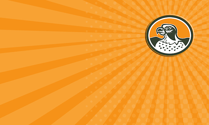 포토 JPG 해외이미지 동물 야생동물 일러스트 명함 조류 사람없음 옆모습 그래픽 복고 독수리 고립 해외202004 해외포토 뷰포인트 파일형식 이미지허브