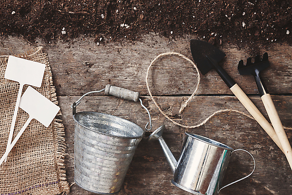 포토 JPG 해외이미지 계절 꽃 화분 밧줄 백그라운드 컨셉 자연 탁자 취미 사람없음 목재 초록색 여름 세트 정원 봄 장비 물뿌리개 성장 도구 공구 삽 양동이 물주기 원예 데이지 갈퀴 구성 해외202004 해외포토 나무 식물 줄 컬러 가구 재료 모션 생태계 파일형식 이미지허브