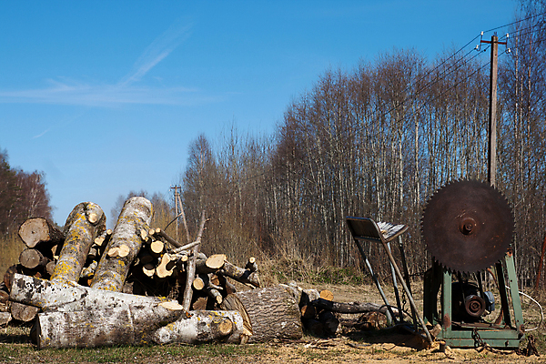 포토 JPG 해외이미지 산업 사람없음 목재 빛 마을 금속 기계 공구 악단 원형 칼날 작업실 치아 위험 장작 자르기 부식 날카로움 목공예 난방 잡동사니 그런지 수목 해외202004 해외포토 도형 나무 음악 컨셉 재료 모션 재질 도구 소화기관 공예 파일형식 이미지허브
