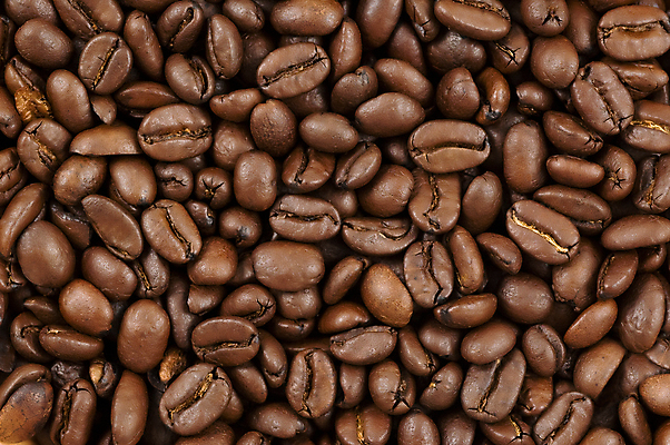 포토 JPG 해외이미지 커피 백그라운드 콩 프레임 씨앗 사람없음 갈색 검은색 카페 맛 굽기 질감 아로마 내추럴 단절 작살 카피스페이스 해외202004 해외포토 식물 음료 컬러 컨셉 곡류 상점 공백 구이 파일형식 이미지허브