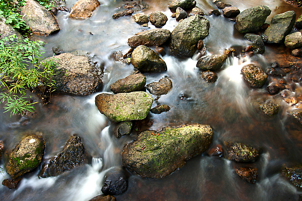 포토 JPG 해외이미지 나무 백그라운드 자연 벽지 산 사람없음 야외 초록색 물 강 폭포 젖음 흐름 바위 숲 해외202004 해외포토 자연요소 식물 컬러 컨셉 돌_바위 생태계 파일형식 이미지허브
