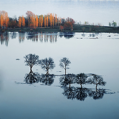 포토 JPG 해외이미지 나무 디자인 호수 바다 일러스트 풍경 사람없음 물 강 일몰 봄 저녁 홍수 그림 모음 해외202004 해외포토 자연요소 식물 계절 한글 노을 야간 자연재해 파일형식 이미지허브