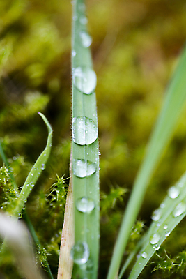 포토 JPG 해외이미지 백인 라이프스타일 행복 아들 어린이 여행 밭 창문 가족 자동차 자연 놀이 성공 휴가 사람 소년 사람없음 야외 여름 여행객 마을 놀람 기쁨 운전 자유 가을 물방울 시골 볏짚 숲 방법 진짜 해외202004 해외포토 서양인 계절 남자 감정 육상교통 컨셉 농업 관계 모션 표정 생활 짚 생태계 파일형식 이미지허브
