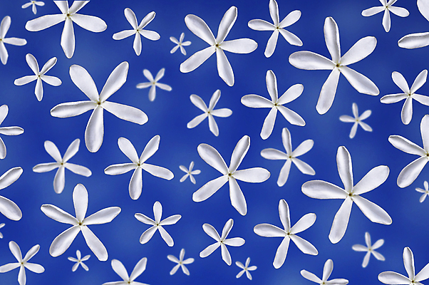 포토 JPG 해외이미지 백그라운드 하늘 사람없음 달콤 만족 해외202004 해외포토 감정 맛 파일형식 이미지허브