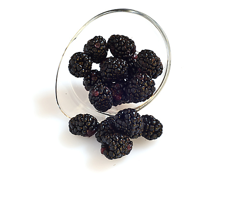 포토 JPG 해외이미지 열매 음식 다이어트 과일 사람없음 빨간색 초록색 여름 흰색 신선 달콤 맛 먹기 고립 해외202004 해외포토 식물 계절 컬러 컨셉 모션 건강 파일형식 이미지허브