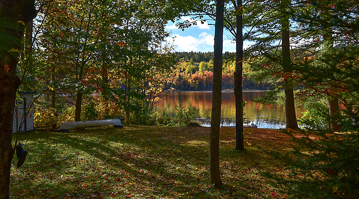 포토 JPG 해외이미지 나무 계절 도로 호수 낙엽 잎 오렌지 자연 하늘 아침 조명 사람없음 야외 물 컬러풀 반사 노란색 평화 맑음 침묵 가을 신선 보트 황무지 변화 습지 숲 시원함 9월 카누 자원 내추럴 되감기 삼림지대 해외202004 해외포토 주간 자연요소 식물 길 컬러 컨셉 배_교통 과일 교통시설 날씨 소리 수상스포츠 날짜 생태계 파일형식 이미지허브