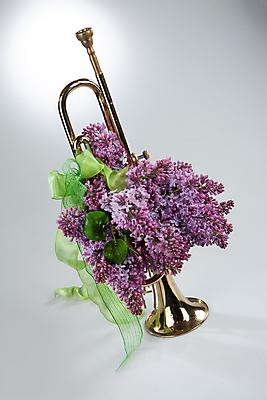 포토 JPG 해외이미지 디자인 꽃 문화 꽃다발 백그라운드 잎 자연 미술 사람없음 장식 빨간색 초록색 흰색 화려 닫기 꽃집 고립 구성 해외202004 해외포토 식물 컬러 컨셉 모션 문화예술 상점 생태계 파일형식 이미지허브