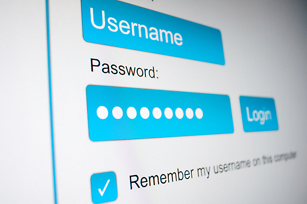 포토 JPG 해외이미지 밭 인터넷 통신 안전 사람없음 파란색 컴퓨터 상자 스크린 모니터 웹 이름 암호 보호 입장 확인 보안 통나무 페이지 온라인 해킹 해커 로그인 방화벽 불법복제 사용자 해외202004 해외포토 나무 컬러 컨셉 농업 전자제품 범죄 파일형식 이미지허브