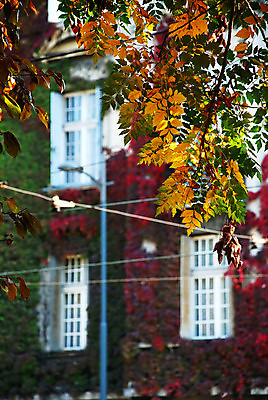 포토 JPG 해외이미지 식물 공원 유럽 벽 잎 건축양식 창문 자연 유리 거리 주택 프레임 풍경 사람없음 야외 건물 장식 빨간색 초록색 노란색 맑음 침묵 전선 가을 흰색 나뭇가지 도시 클래식 파편 묘사 아이비 타운 발칸반도 세르비아 옛날 해외202004 해외포토 나무 건축물 계절 공공시설 건축 나라 컬러 컨셉 재질 날씨 소리 생태계 파일형식 이미지허브