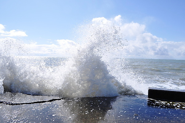 포토 JPG 해외이미지 물결 파도 바다 백그라운드 모션 자연 조류 표면 기술 안테나 풍경 사람없음 야외 물 여름 파란색 햇빛 어둠 활발 거품 흐름 흰색 거친 액체 서핑 떨어짐 지중해 속도 하와이 장면 분무기 용암 폭풍 S 내추럴 깊이 자취 터키석 효과 해외202004 해외포토 자연요소 동물 알파벳 계절 컬러 컨셉 통신 날씨 태양 미국 수상스포츠 보석 생태계 파일형식 이미지허브