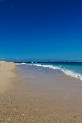 포토 JPG 해외이미지 나무 계절 모래 파도 바다 섬 여행 백그라운드 자연 하늘 휴가 손바닥 풍경 해변 사람없음 야외 초록색 물 여름 파란색 컬러풀 햇빛 태양 환경 맑음 침묵 흰색 만 서핑 황금 고독 휴양지 이국적 파라다이스 해외202004 해외포토 자연요소 식물 손 감정 컬러 날씨 소리 장소 수상스포츠 생태계 파일형식 이미지허브